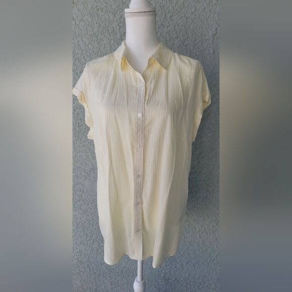 Fortune + Ivy Tops - Fortune + Ivy Women's Light Yellow Button-Down Shirt